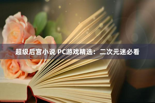 超级后宫小说 PC游戏精选：二次元迷必看