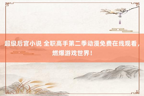 超级后宫小说 全职高手第二季动漫免费在线观看，燃爆游戏世界！