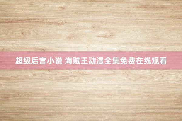 超级后宫小说 海贼王动漫全集免费在线观看