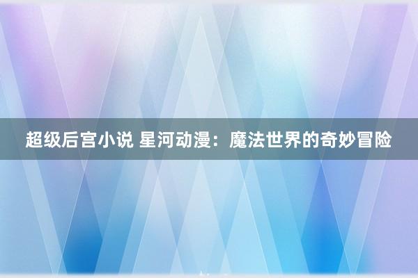 超级后宫小说 星河动漫：魔法世界的奇妙冒险