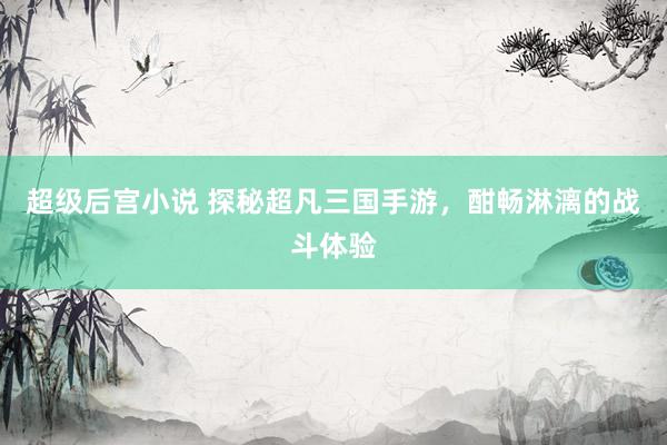 超级后宫小说 探秘超凡三国手游，酣畅淋漓的战斗体验