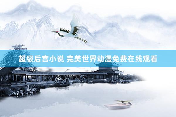 超级后宫小说 完美世界动漫免费在线观看