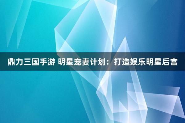 鼎力三国手游 明星宠妻计划：打造娱乐明星后宫