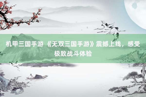 机甲三国手游 《无双三国手游》震撼上线，感受极致战斗体验